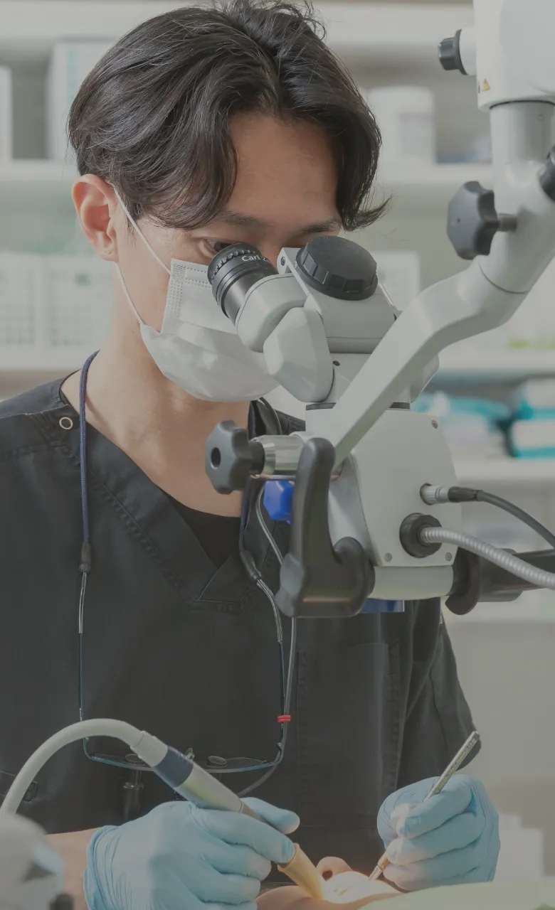 噛めない今から噛める未来